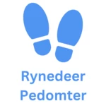 Logo of Rynedeer Pedometer android Application 